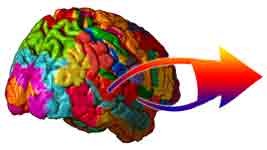 brain communicating outward